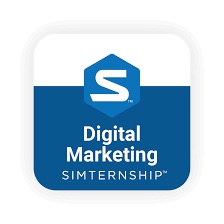 Stukent Digital Marketing Simulation showing hands-on marketing internship experience